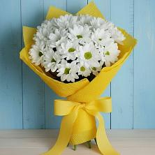 Букет цветов из:  Хризантемы в Успенском Новгородской области