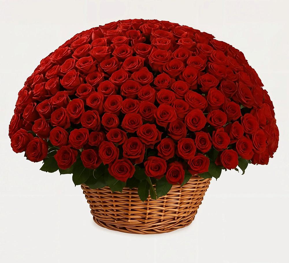 Премиум букет из: Розы в Успенском Новгородской области