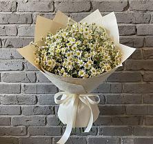 Букет цветов из:  Ромашки в Успенском Новгородской области