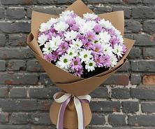 Букет цветов из:  Хризантемы #REPLACE_PRED# Успенском Новгородской области