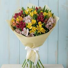 Букет цветов из:  Альстромерии #REPLACE_PRED# Успенском Новгородской области