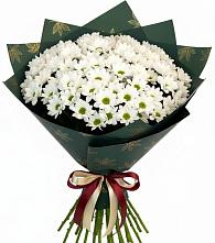 Букет цветов из:  Хризантемы #REPLACE_PRED# Успенском Новгородской области