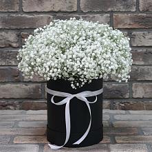 Цветочная композиция из Гипсофила в шляпной коробке в Успенском Новгородской области